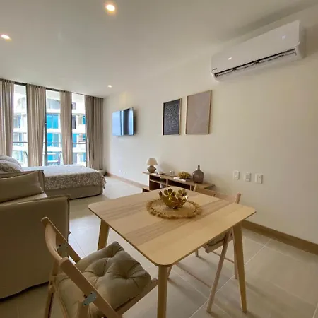 Apartamento Hermoso Y Acogedor Monoambiente *