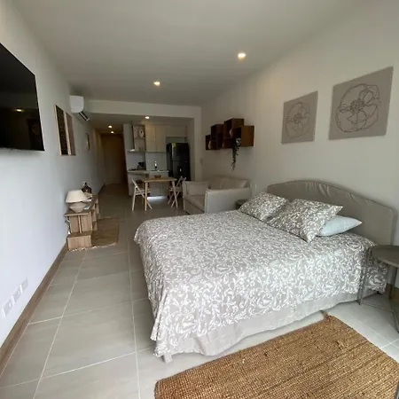 Hermoso Y Acogedor Monoambiente Apartamento